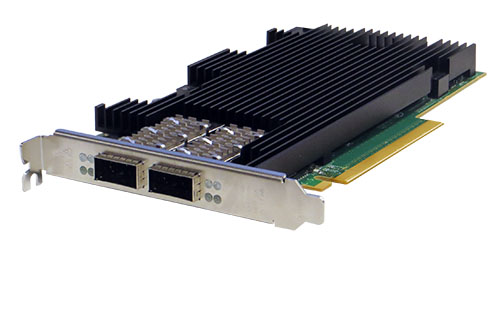 PE3100G2DQIR 100g Server Adapter