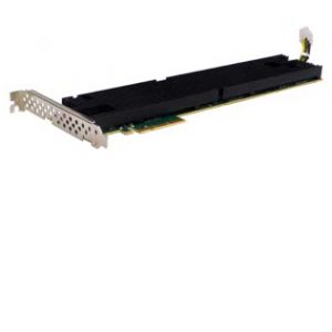 Coleto Network Interface Card