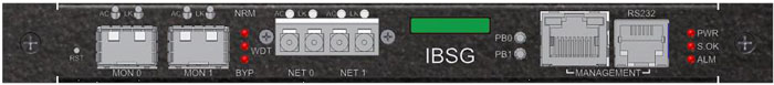 ibsg figure 1 front