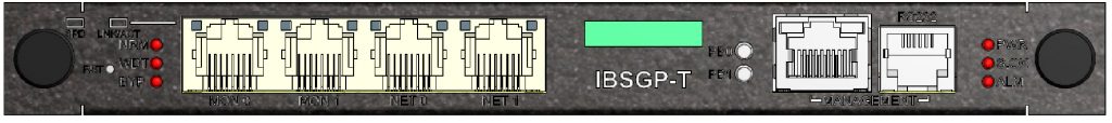 ibsgpt