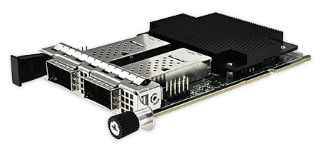 O3CG2I81 100G OCP NIC