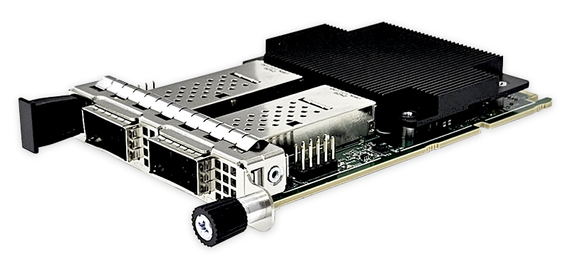 Dual Port 100 Gigabit Ethernet OCP NIC Intel E810-CAM2